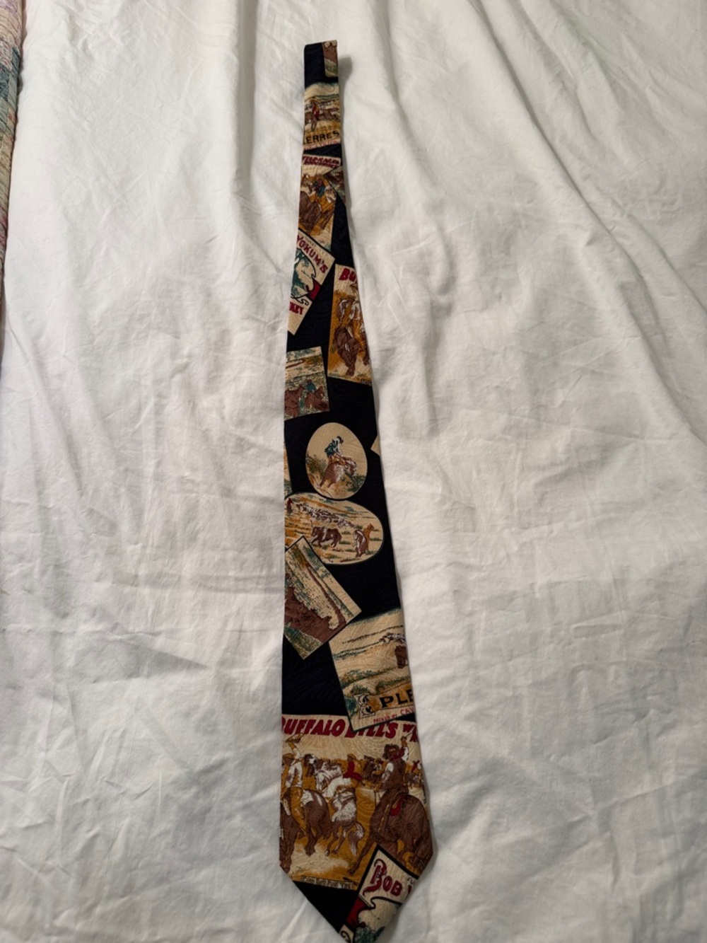 Men's Black Western Print Silk Tie - Unbranded